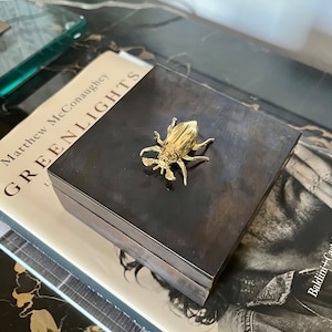 Op de afbeelding: Een zwarte houten doos met een gouden kever op de bovenkant. De doos staat op een boek getiteld "Greenlights" van Matthew McConaughey.