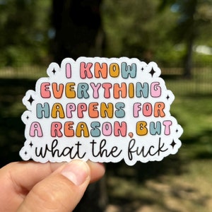 I Know Everything Happens for a Reason Funny Sticker | Colorful and Sassy | Perfect for Water Bottles, Notebooks, Binders