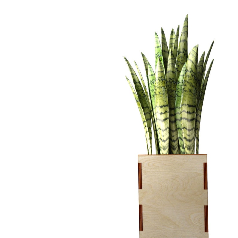 Free Free Flower Box Svg Free 233 SVG PNG EPS DXF File