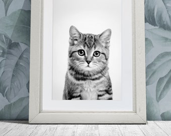 Cat poster print / Gifts for cat lovers / Printable nursery wall art / Digital download art decor