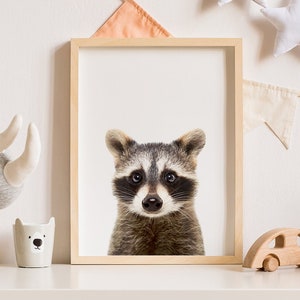 Baby raccoon Print / Woodland creatures art / Baby Animal poster / Nursery wall art / Digital Download poster