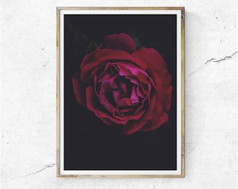 floral wallpaper downloadable print rose print etsy