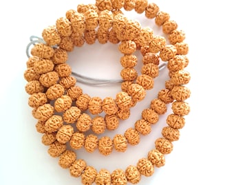 Rudraksh Bohdi seed beads lot of 10 diameter +- 10 mm