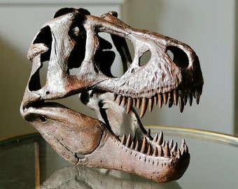 Tyrannosaurus rex Skull 1:5 scale museum quality fine art limited edition - fossil brown