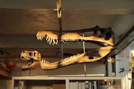 baryonyx fossil for sale