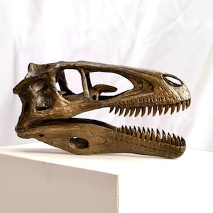 Deinonychus 1:2 scale model skull Velociraptor Dromaeosaur Raptor Jurassic Park
