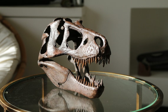 Tyrannosaurus Rex Skull 1:5 Scale Museum Quality Fine Art Limited