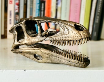 Deinonychus 1:2 scale model skull Velociraptor Dromaeosaur Raptor Jurassic Park