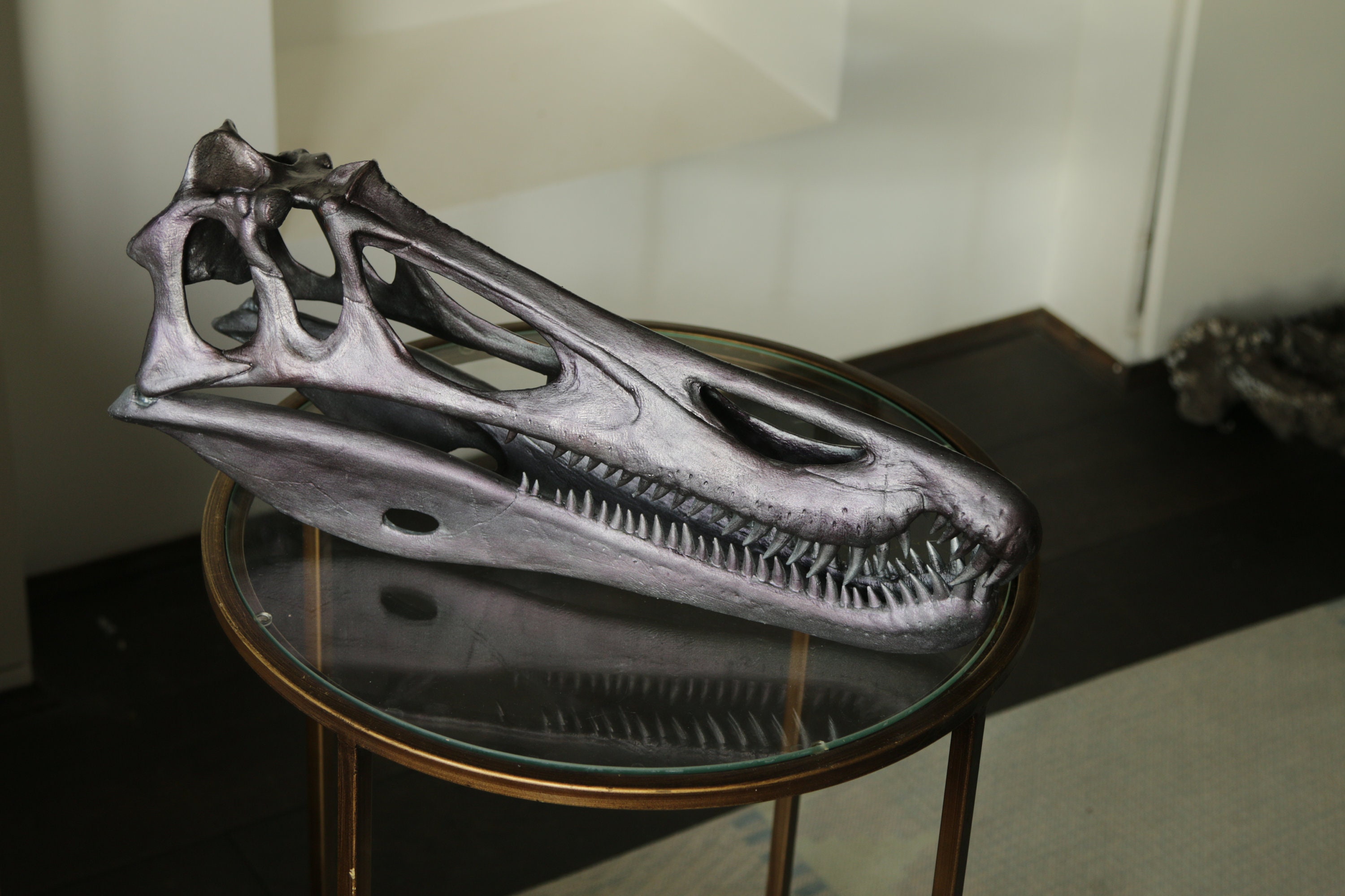 バリオニクス恐竜の頭蓋骨 1:2 スケール 50 cm 長さ 化石レプリカ