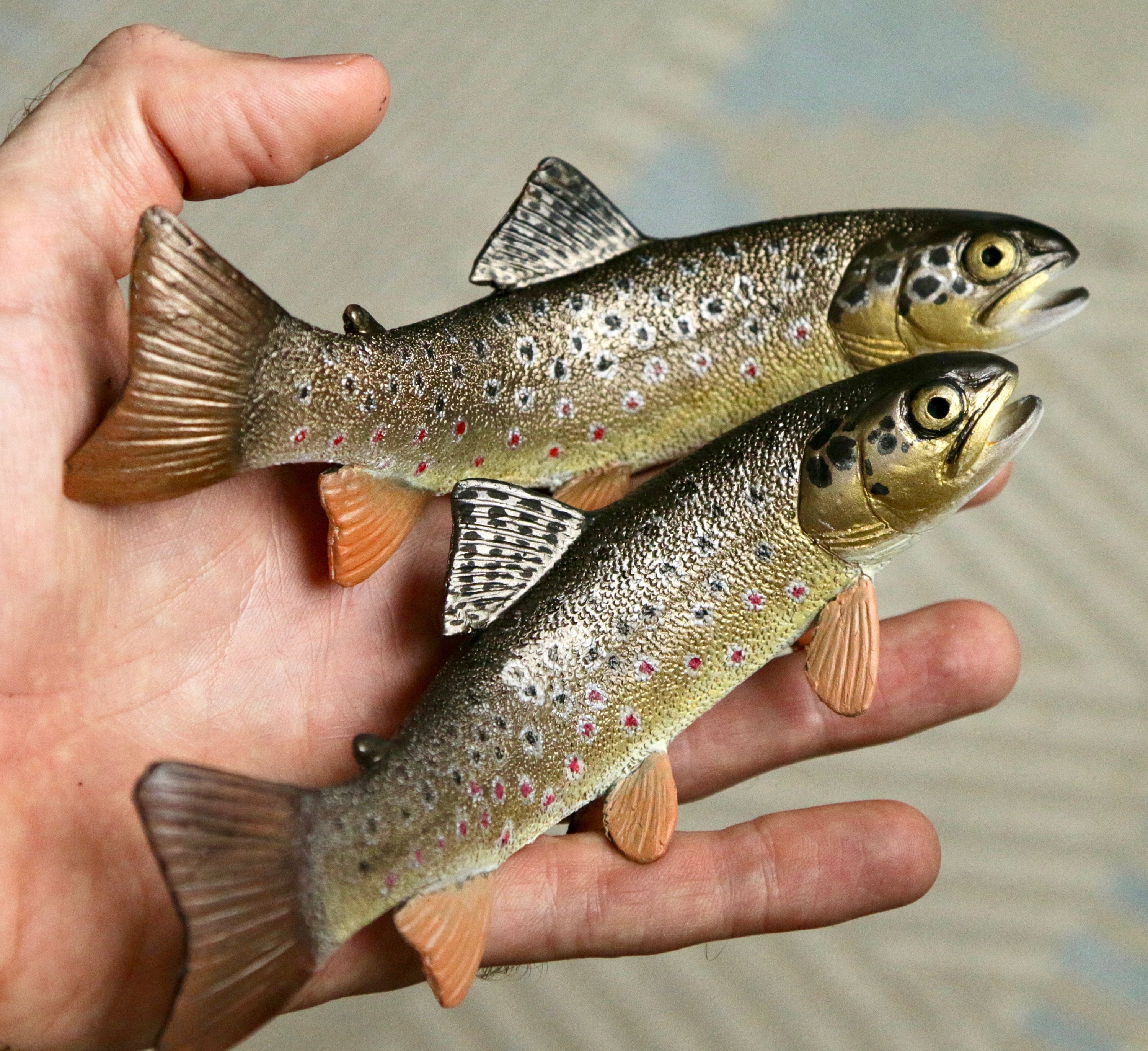 Brown trout taxidermy - Etsy 日本