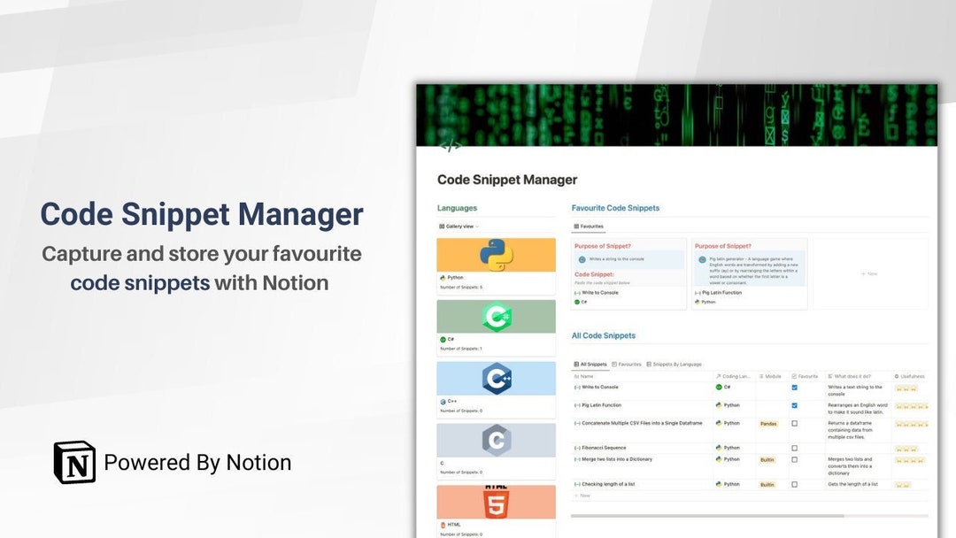 Notion Template Code Snippet Manager for Programmers and Coders - Etsy
