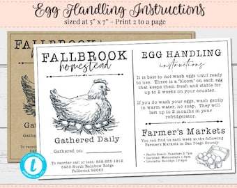 Egg Handling, Safe Egg Flyer, Editable Egg Flyer, Farms Market Flyer, Fresh Egg Instructions, DIY Egg Flyer, How to Handle Eggs