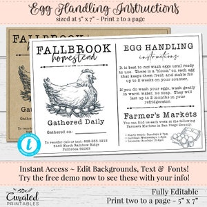 Egg Handling, Safe Egg Flyer, Editable Egg Flyer, Farms Market Flyer, Fresh Egg Instructions, DIY Egg Flyer, How to Handle Eggs