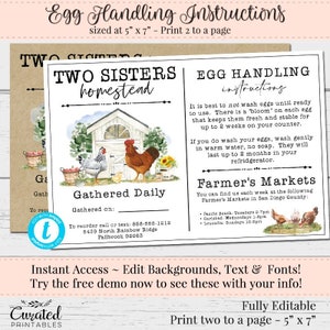 Egg Handling, Safe Egg Flyer, Editable Egg Flyer, Farms Market Flyer, Fresh Egg Instructions, DIY Egg Flyer, How to Handle Eggs