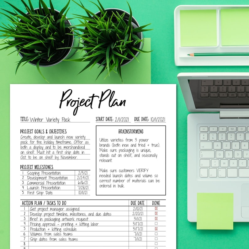 May include: A project plan for a Winter Variety Pack, with a start date of 2/1/2021 and a due date of 10/1/2021. The plan includes project goals, objectives, milestones, and action plan tasks with due dates.