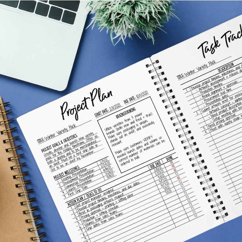 May include: A project plan for a winter variety pack, with a start date of 2/1/2021 and a due date of 10/1/2021. The plan includes brainstorming, project goals and objectives, project milestones, and action plan tasks to do. A task tracker is also included with a list of tasks and due dates.