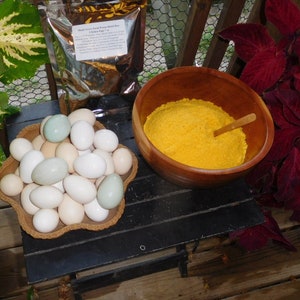 12.5 oz Freeze Dried Raw Chicken Egg Powder from Our Own Heritage Hens