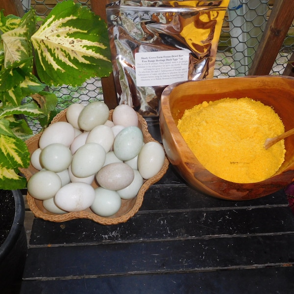 12.5 oz Freeze Dried Raw DUCK Egg Powder, From Our Own HERITAGE Free Range Birds