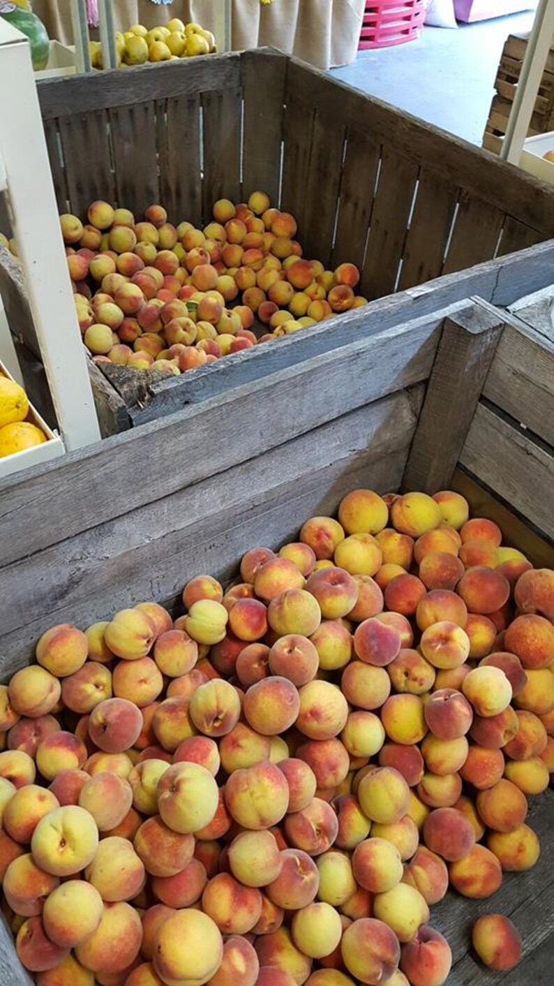Oldfashioned Peach Jam Made With West Virginia Grown Peaches Etsy Sweden