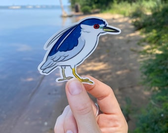 Black-crowned Night Heron Sticker
