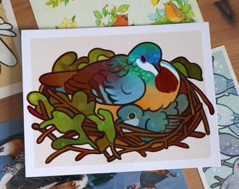 Mindanao Bleeding-heart Pigeon Postcard