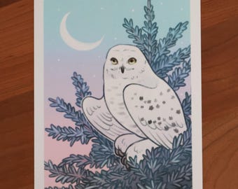 Snowy Owl Postcard
