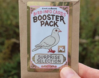 Mystery Info Cards - 5 Pack