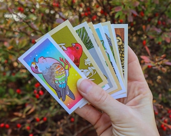 Info Cards ~ Bronzewing Set