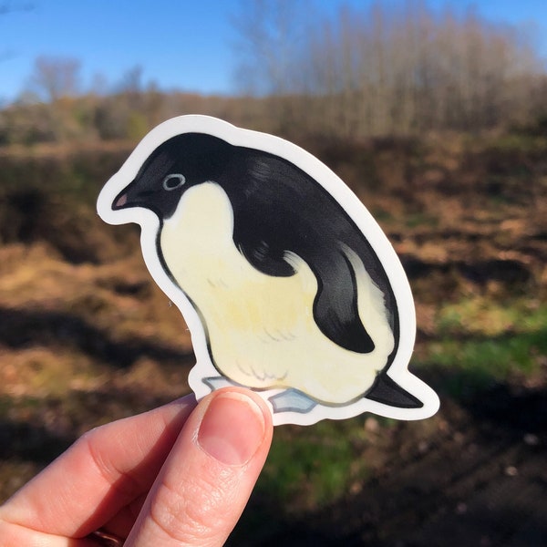 Adelie Penguin ~ Matte Vinyl Sticker