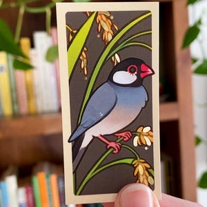 Op de afbeelding: Een rechthoekige sticker met een gestileerde illustratie van een vogel. De vogel heeft een zwarte kop, witte wangen en een rode snavel, zittend op een tak met gele bloemen en groene bladeren. De achtergrond is donker. De sticker wordt door een persoon vastgehouden.