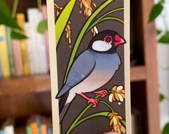 Java Finch Info Card - Gold Foil