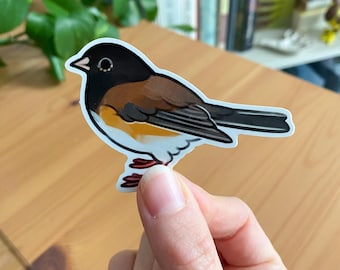 Oregon Dark-eyed Junco Sticker