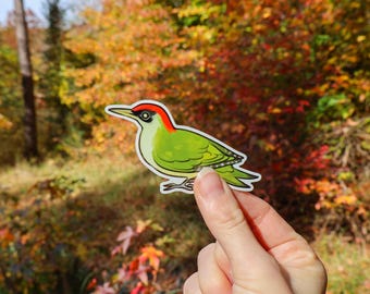 Green Woodpecker Sticker