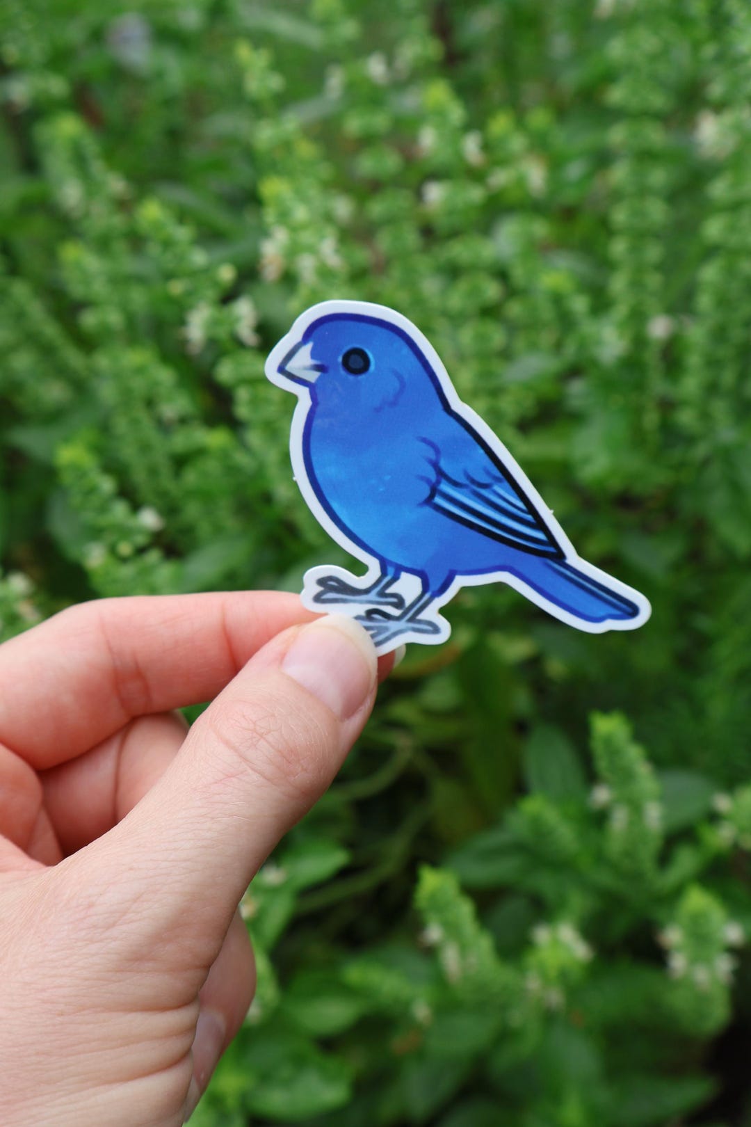 Indigo Bunting Sticker - Etsy
