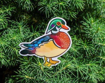 Male American Wood Duck Sticker