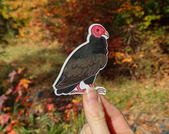 Turkey Vulture Sticker