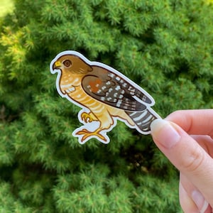 Buse à épaulettes Sticker