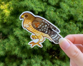 Red-shouldered Hawk Sticker