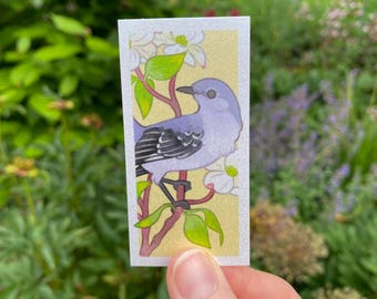 Northern Mockingbird Info Card
