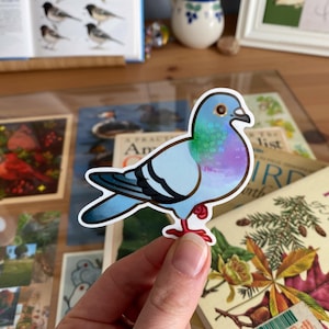 Sticker pigeon