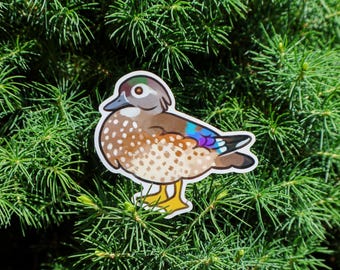 Female American Wood Duck Sticker