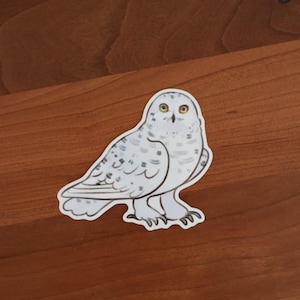 Sticker Harfang des neiges