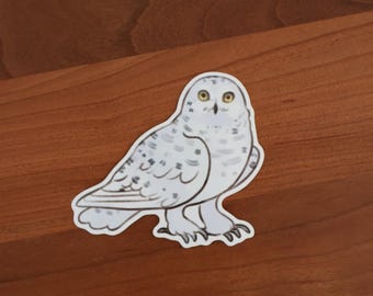 Snowy Owl Sticker
