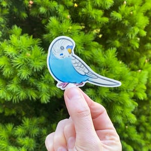 Sticker perruche