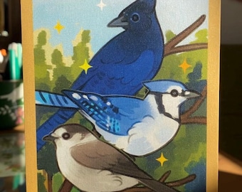 Canada Jay Postcard