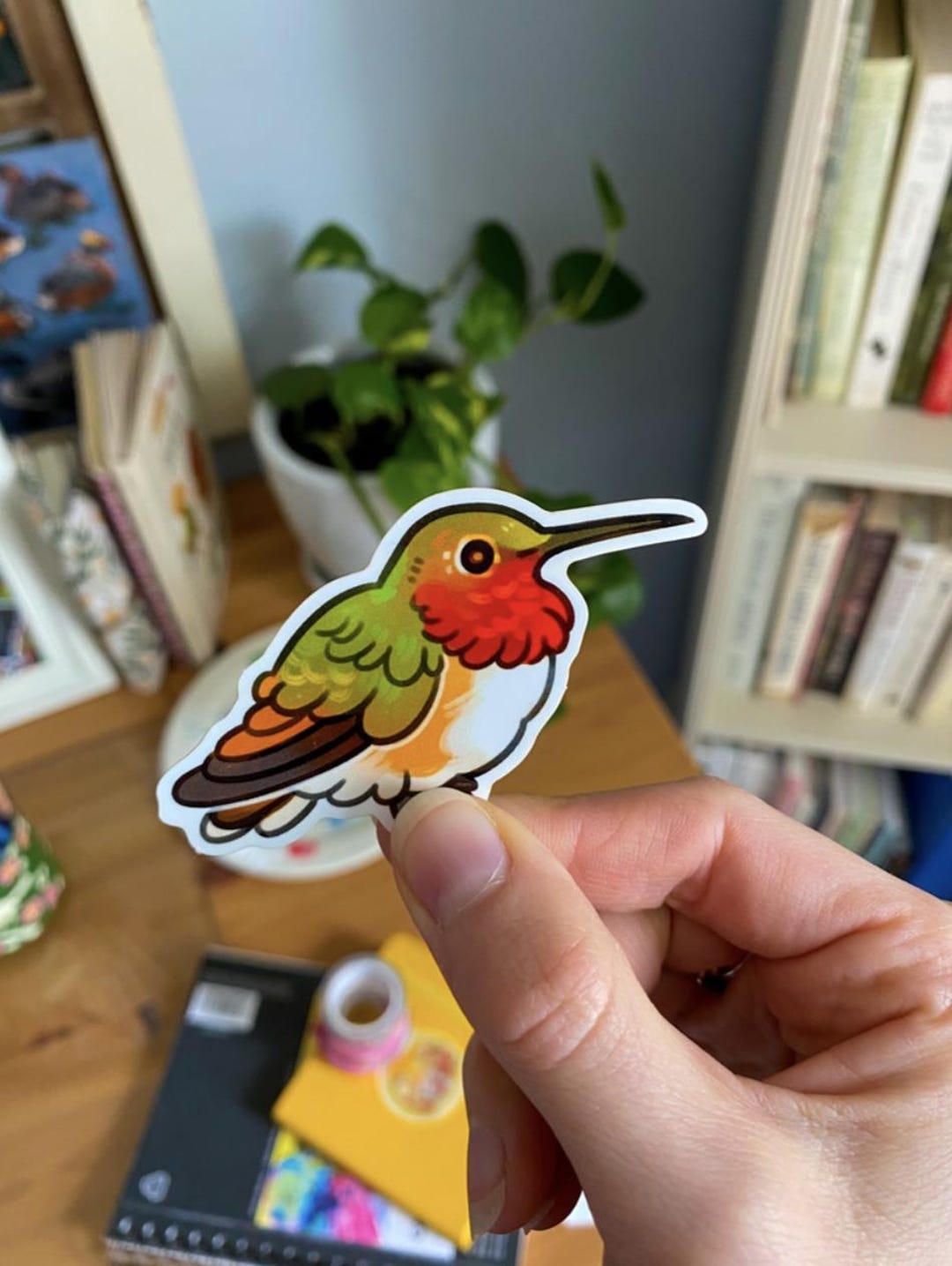Allen's Hummingbird Sticker - Etsy