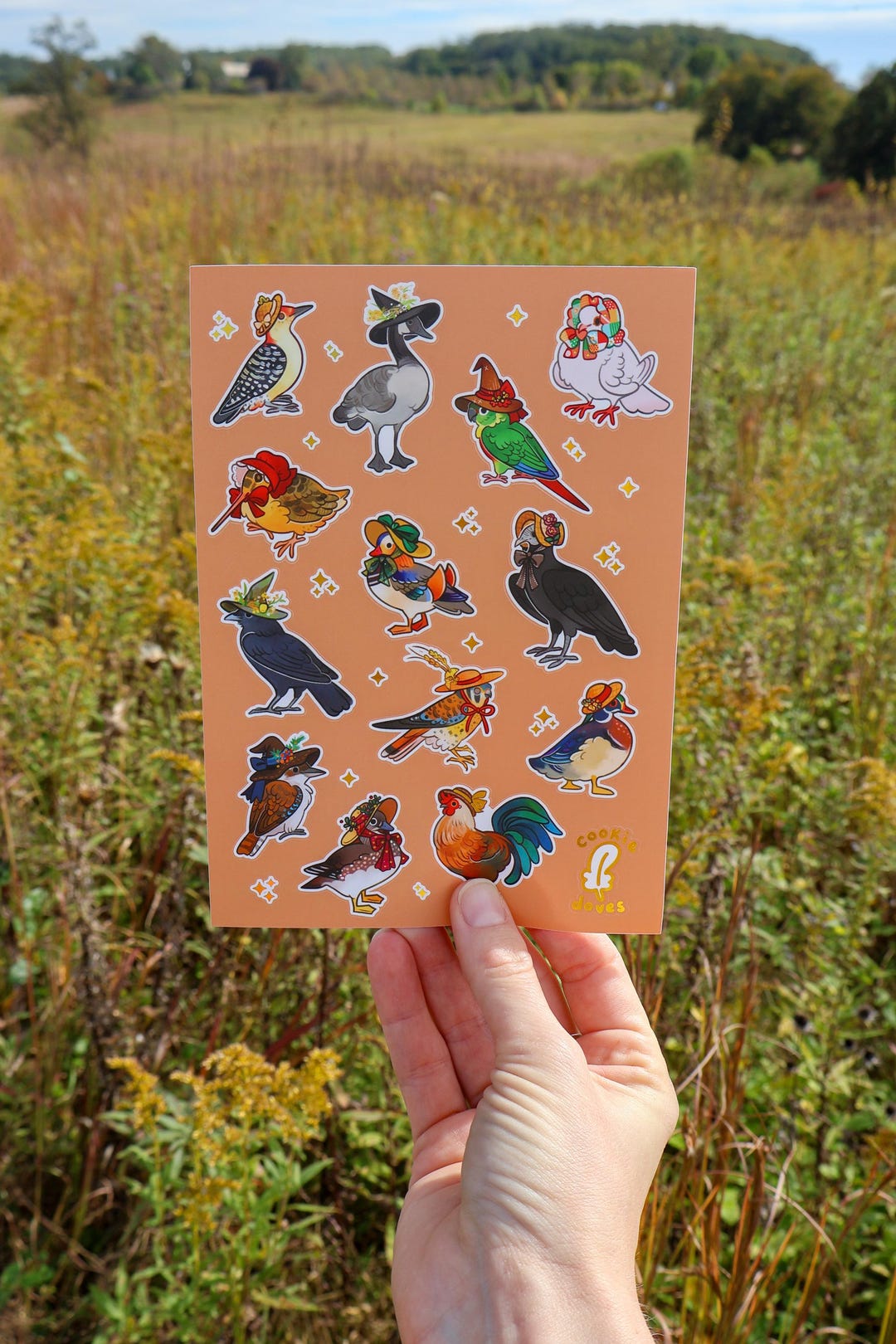 Birds in Bonnets Sticker Sheet - Etsy