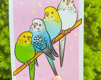 Budgie Postcard, Bird of the Month Club (4.25 x 5.5")