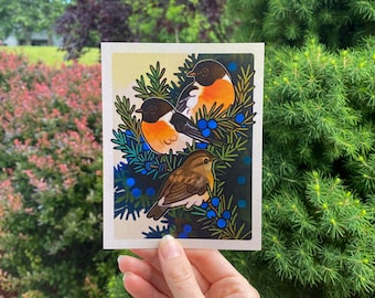 Puede incluir: Una postal con una ilustración colorida de tres pájaros posados en una rama de un arbusto de enebro con bayas azules. Los pájaros son marrones, negros, naranjas y blancos.