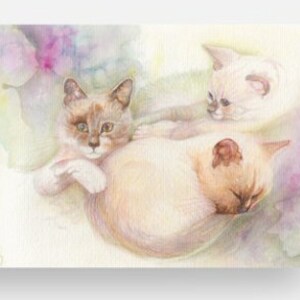 Carte chats blancs vernie + enveloppe
